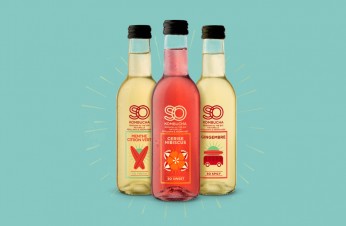 Kombucha : la boisson bio de thé fermenté